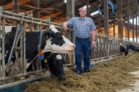 D�rre in Rheinland-Pfalz: Bauern k�mpfen mit Futterknappheit