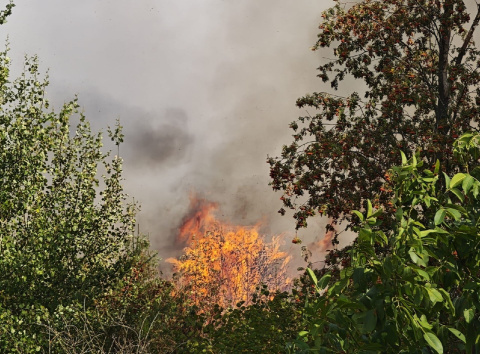 Eilmeldung: Gro�alarm! Waldbrand bei Gebhardshain - Es wird evakuiert!