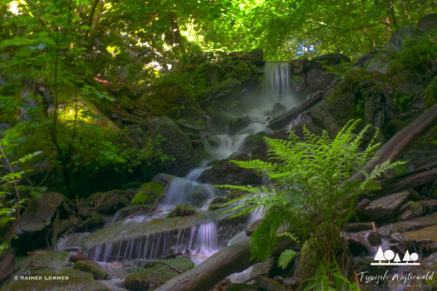 Sommerabend in Melsbach: Wandern und Grillen im Westerwald