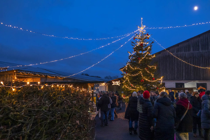 Genussvoller Advent auf Hof Scheffen in Hattert bei Hachenburg