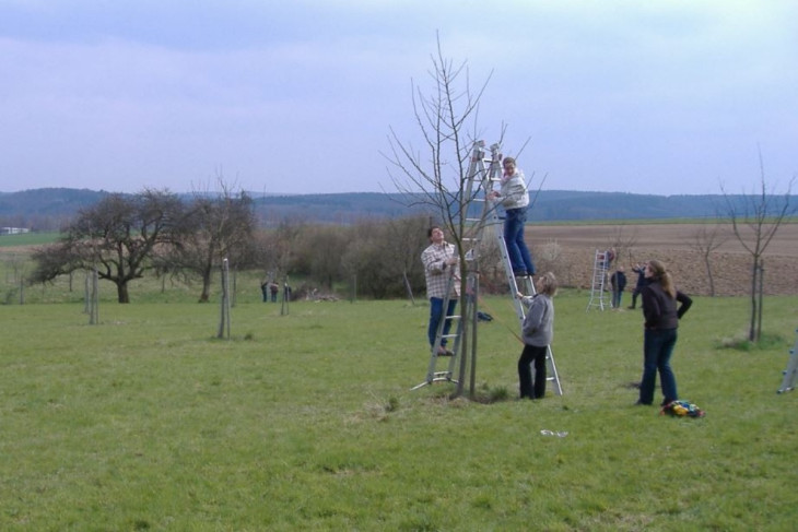 Obstbaumschnittkurs in Altenkirchen: Wissen f�r die Pflege von Streuobstwiesen