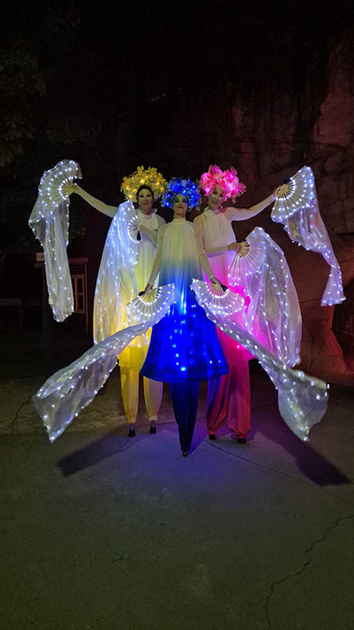 Flower Fairies: Flower Fairies.