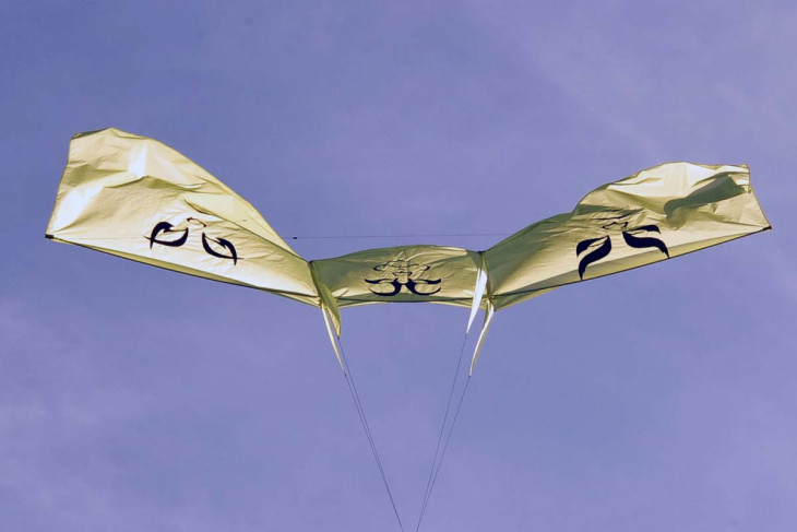 Trotz des geringen Windes konnten auch gr��ere Drachen besichtigt werden