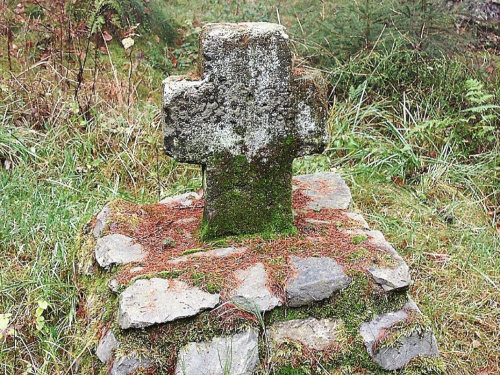 Das Geheimnis des Bucher Kreuzes im Heisterholz in H�vels