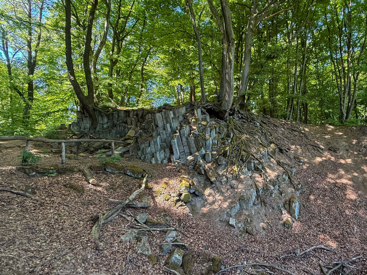 Foto: Katharina Kugelmeier