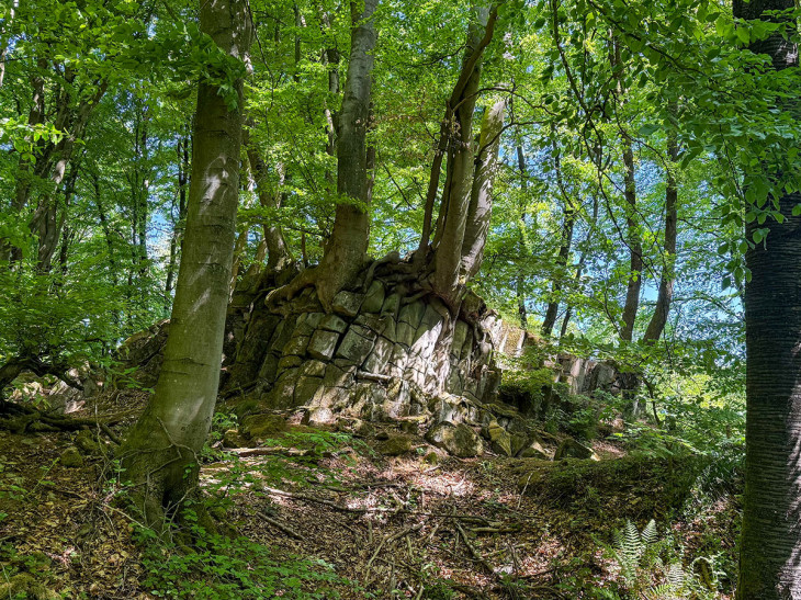 Foto: Katharina Kugelmeier