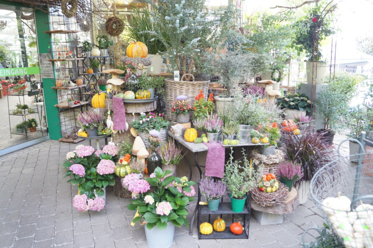 Herbst Genusswochen locken wieder auf den Pflanzenhof Schürg in Wissen