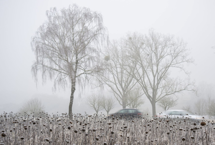 Winterwetter h�lt Rheinland-Pfalz im Griff - Gl�ttegefahr f�r Autofahrer