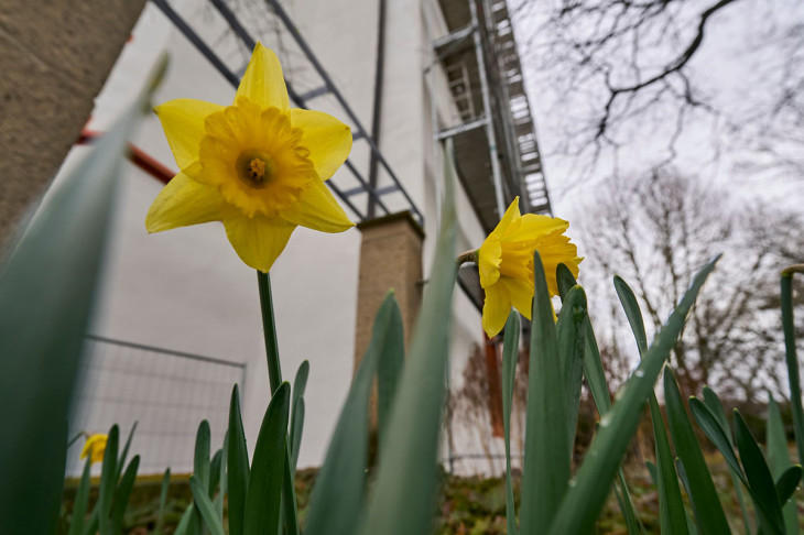 Frühlingshafte Temperaturen: Rheinland-Pfalz erwartet bis zu 18 Grad