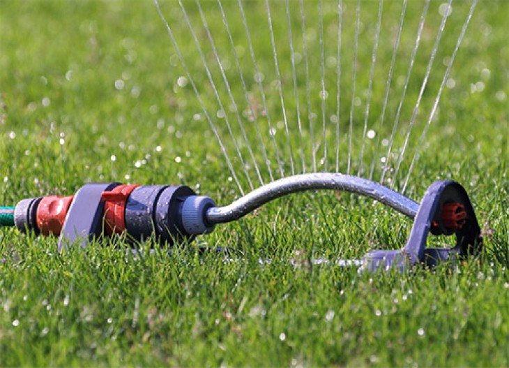 Wasserpumpen für die Gartenbewässerung - REKUBIK® Magazin