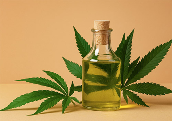 CBD  Das passiert im Krper nach der Einnahme | NR-Kurier.de