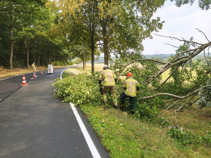 Windiges Chaos in der Verbandsgemeinde Betzdorf-Gebhardshain: Feuerwehr beseitigt umgestürzte Bäume