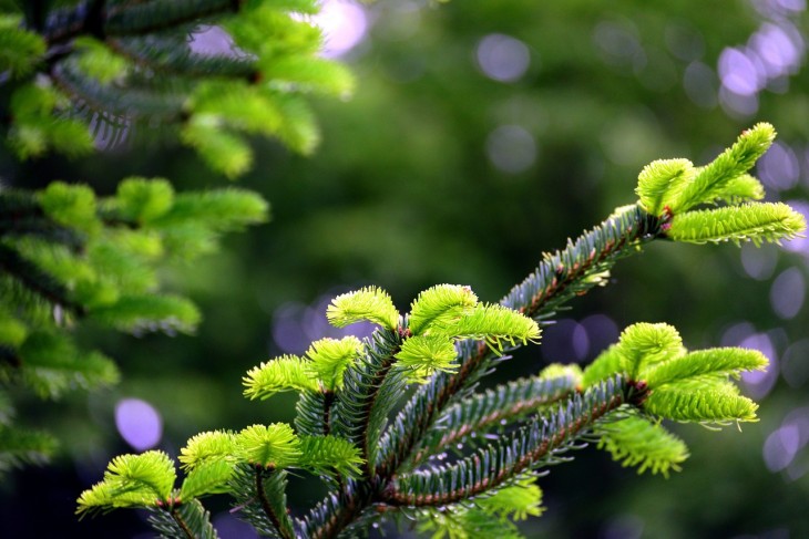ausgefallene gartendeko modern Rostsäulen aus 2 Teilen Mann & Frau personalisiertes Geschenk weihnachten freundin