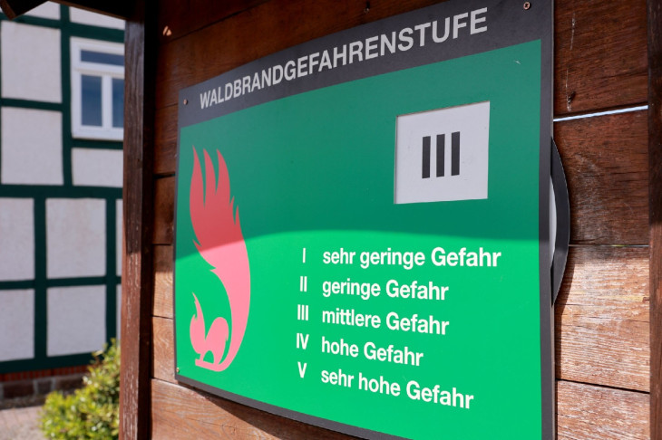 Waldbrandgefahr in Rheinland-Pfalz steigt ab Mittwoch deutlich an