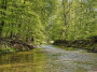 Entdeckungstour durch das Birkenbachtal - Natur-Exkursion am Kloster Hassel