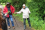 Essbare Sch�tze: Entdeckungstour durch die heimische Pflanzenwelt