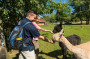 Bad Marienberg l�dt zu Basaltpark, Wildpark und E-Bike-Tour ein