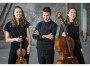 Schloss Montabaur: Villa Musica pr�sentiert Am�lio Trio im Rittersaal