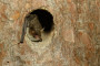 Naturerlebnisse an der Westerw�lder Seenplatte