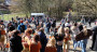 Sommerfest im Wildpark Westerwald in Gackenbach: Ein Tag voller Erlebnisse