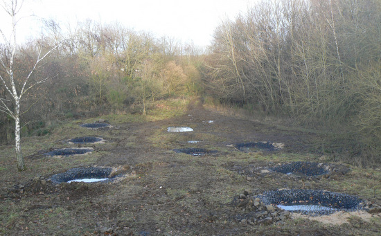 Die Struktur- und Genehmigungsdirektion (SGD) Nord plant als Obere Naturschutzbehrde im Rahmen der Umsetzung der FFH-Richtlinie die Durchfhrung von zwingend erforderlichen Amphibienschutzmanahmen im Naturraum Westerwald. (Foto: SGD Nord)