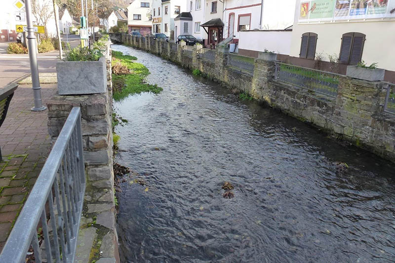 Der Aubach im Kreis Neuwied wird im Rahmen einer Gewsserschau kontrolliert. Foto: SGD