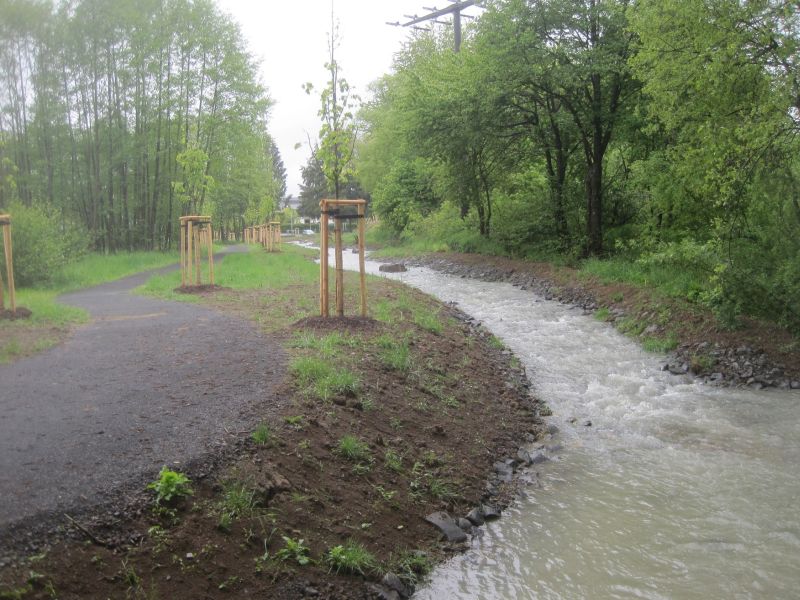 Ahrbach in der Ortslage Boden nach der Renaturierung. Foto: Verbandsgemeindewerke Montabaur