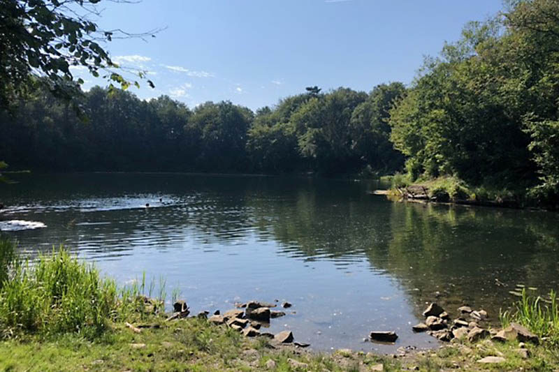 Naturpark Siebengebirge Platz drei im Wettbewerb