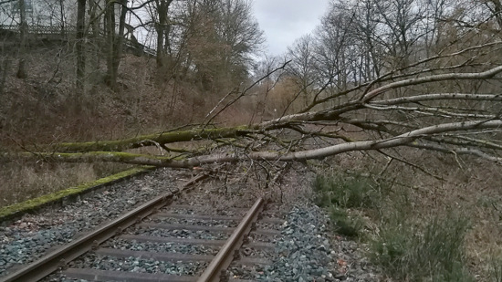 Die Feuerwehr der Verbandsgemeinde Daaden-Herdorf musste auch Sturmschden an der Bahnlinie beseitigen. (Foto: Verbandsgemeindefeuerwehr Daaden-Herdorf) 