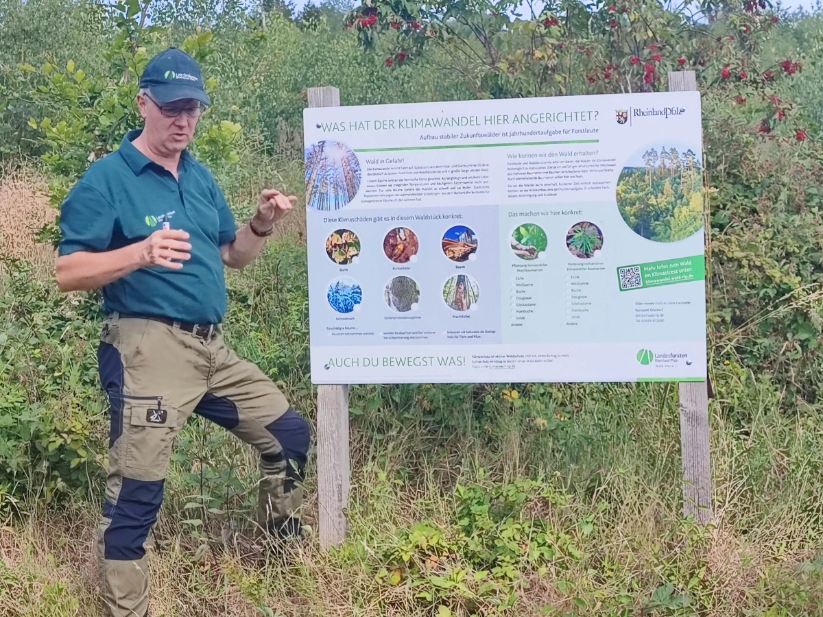 Revierfrster Christoph Kirst erlutert die Folgen des Klimawandels im heimischen Wald (Fotos: Matthias Braasch/Verbandsgemeindeverwaltung Bad Hnningen)