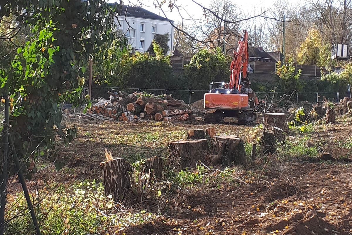 Die neue Stadtzufahrt. Foto: Dr. Jutta Etscheidt
