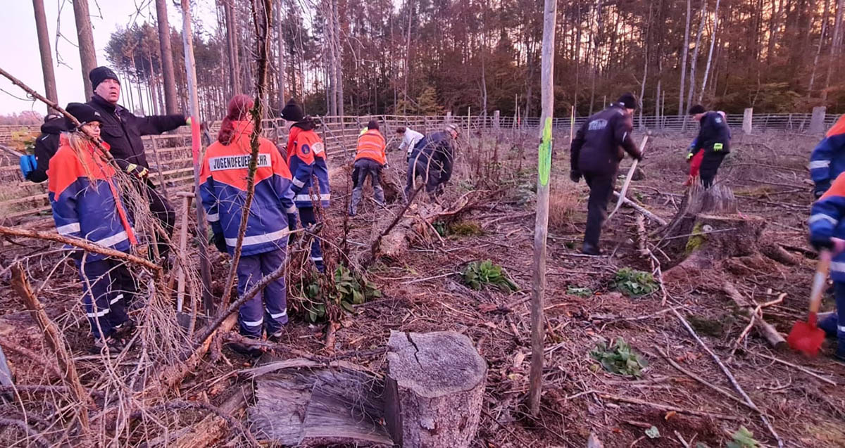 Die Pflanzaktion im Mrkerwald. Fotos: Feuerwehr VG Dierdorf