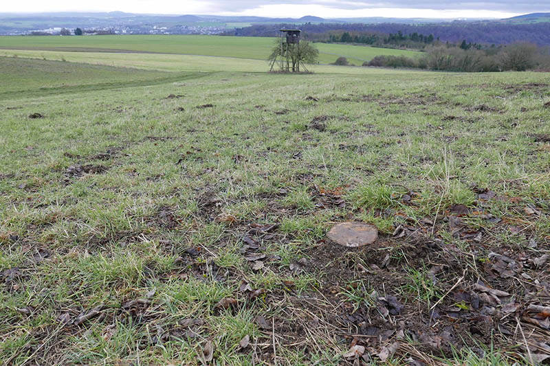 Schon wieder wertvolle Biotope vernichtet