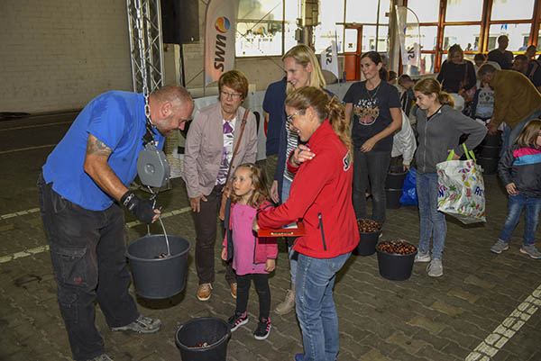 Wie weit schlgt die Waage aus? Am Ende waren 630 Tageskarten fr die Deichwelle an die Kinder verteilt und mehr als 9,5 Tonnen Kastanien gesammelt. Foto: SWN