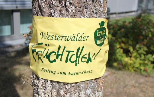Die Aktion Ernte mich! luft auch 2018 wieder im Westerwaldkreis. (Foto: Pressestelle der Kreisverwaltung)
