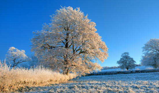 Eisiger Winter im Anmarsch: Zweistellige Minusgrade mglich