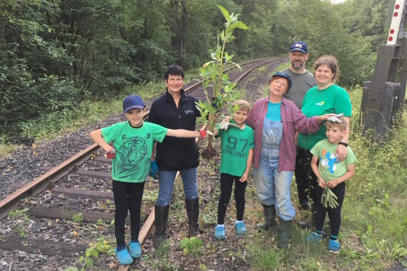 Springkrautbekmpfung - helfen bei der Nachsorge 