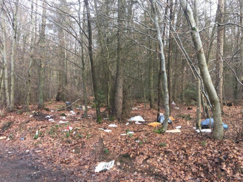 Den Startschuss der Aktion Saubere Landschaft gibt Landrat Schwickert in diesem Jahr in Freirachdorf. Fotos: Pressestelle der Kreisverwaltung