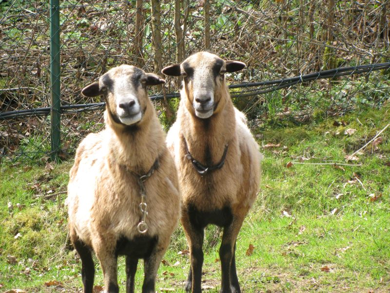 Schchten kann als Gesetzesversto mit Bugeldern bis 25.000 Euro geahndet werden. Foto: Pressestelle der Kreisverwaltung