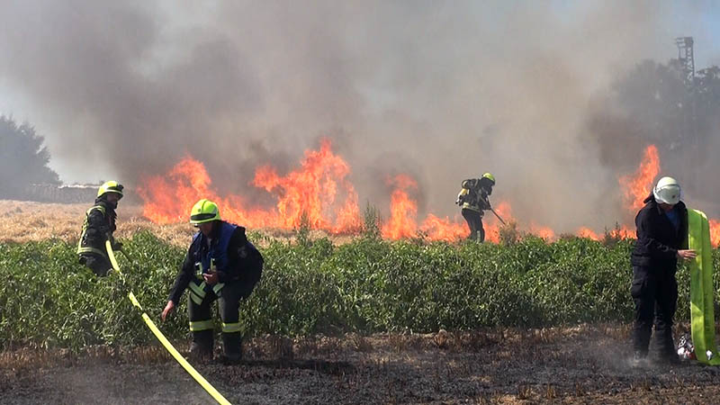 Mhdrescher setzt Feld am Ortsrand von Giershofen in Brand