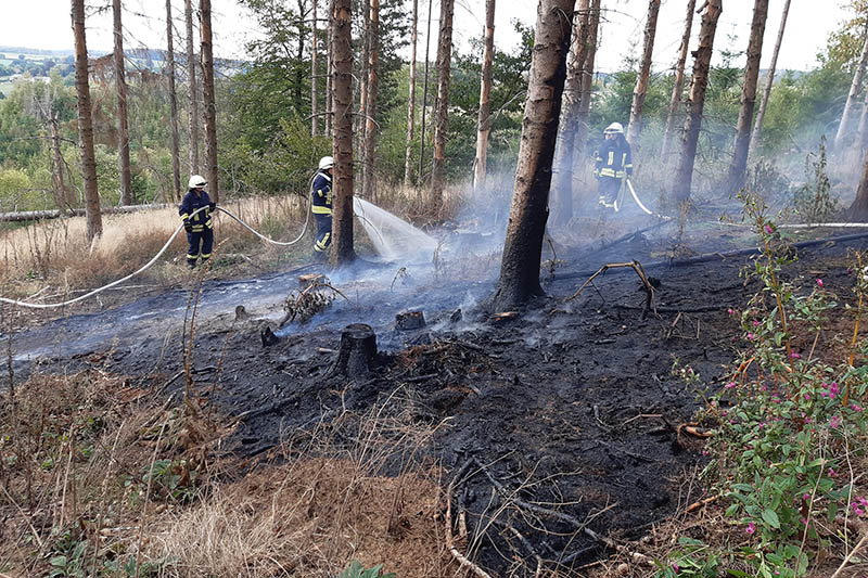 Waldbrand bei Niederdreis 