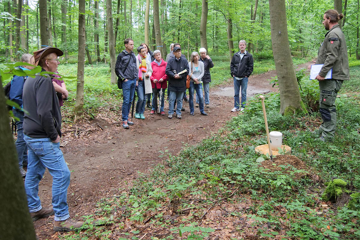 SBN fhren durch den Fried-Wald in Neuwied-Monrepos
