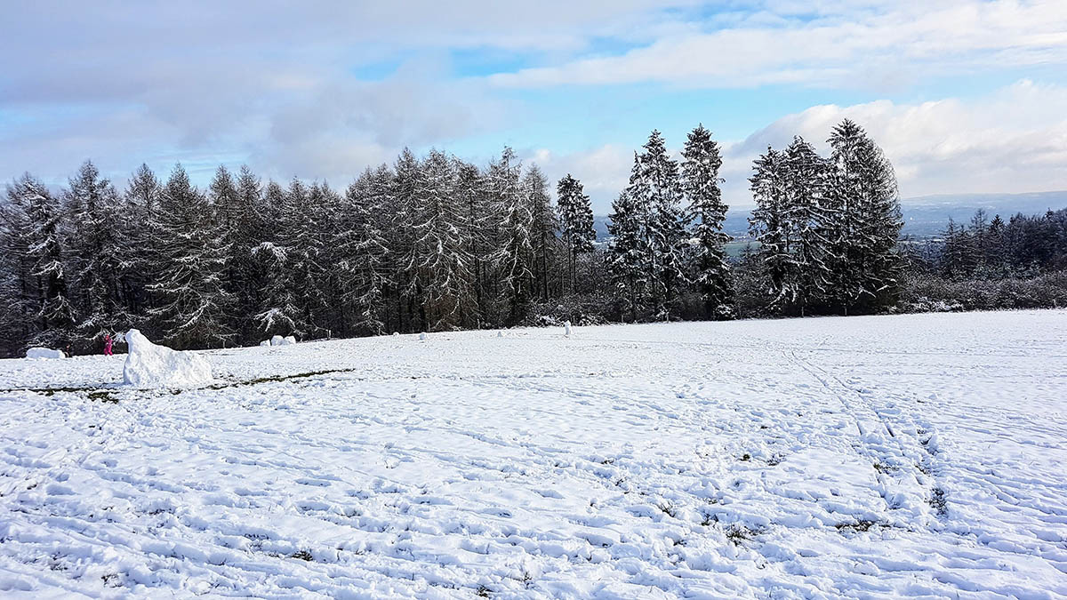 In der Nacht zum Dienstag einsetzender Schneefall