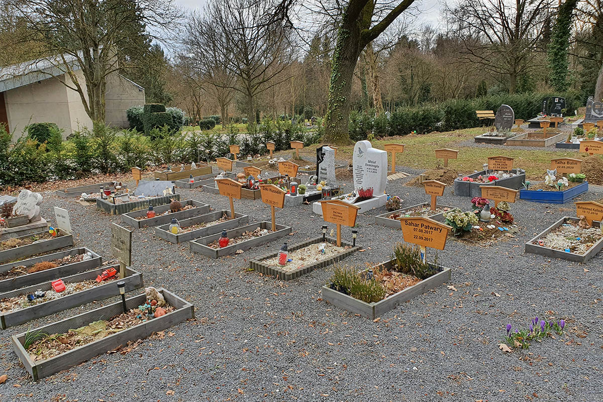 Foto vom Friedhof in Torney, wo die Muslime beigesetzt sind. Foto: privat 