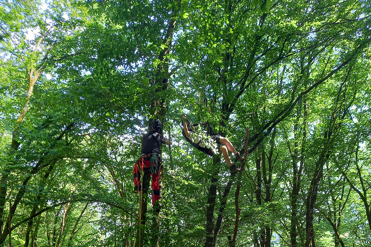 Fotos: Feuerwehr VG Rengsdorf-Waldbreitbach