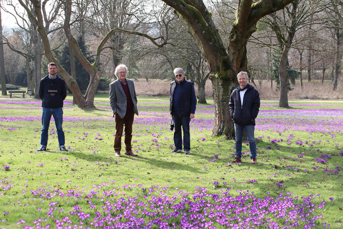 Krokusblte in Bad Honnef - Untersttzung erwnscht