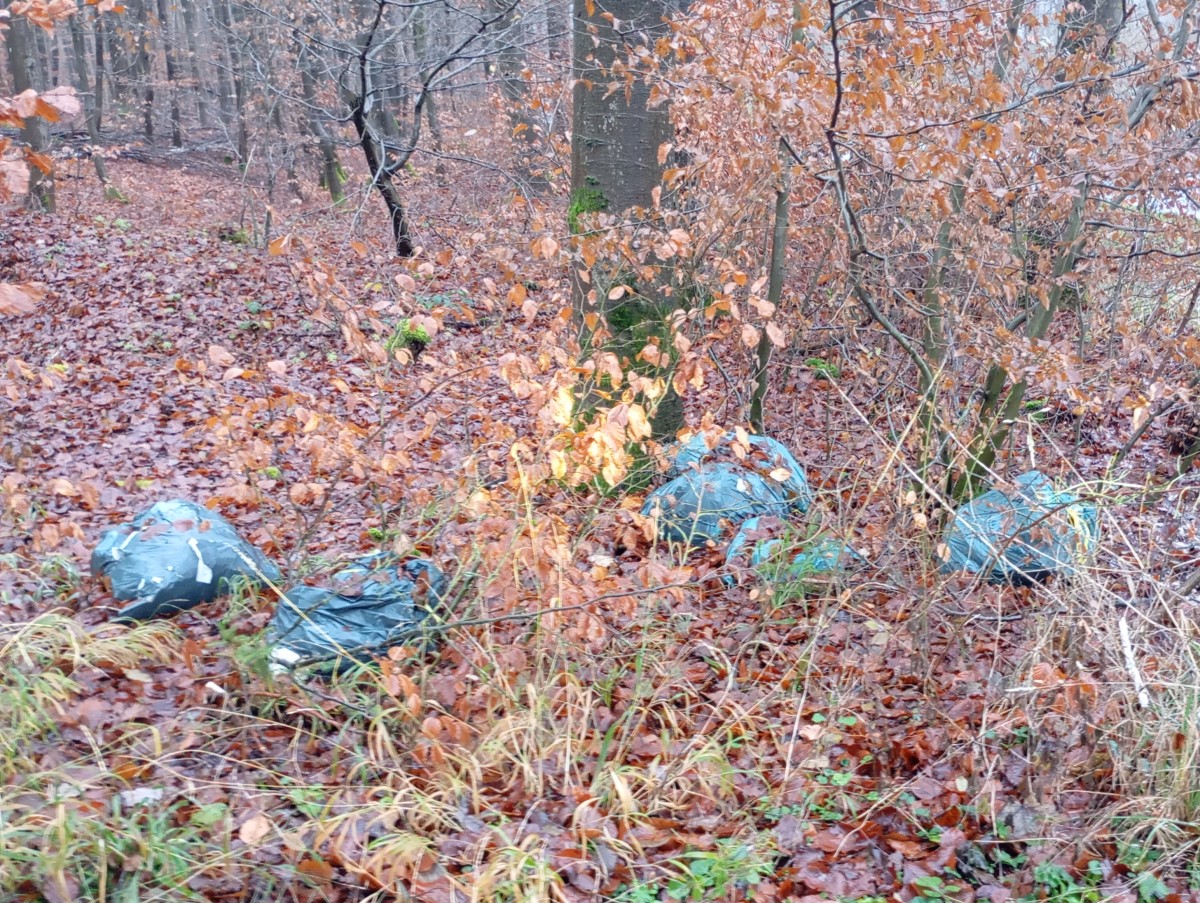 Erfolgreiche Ermittlung nach illegaler Abfallentsorgung in Weroth