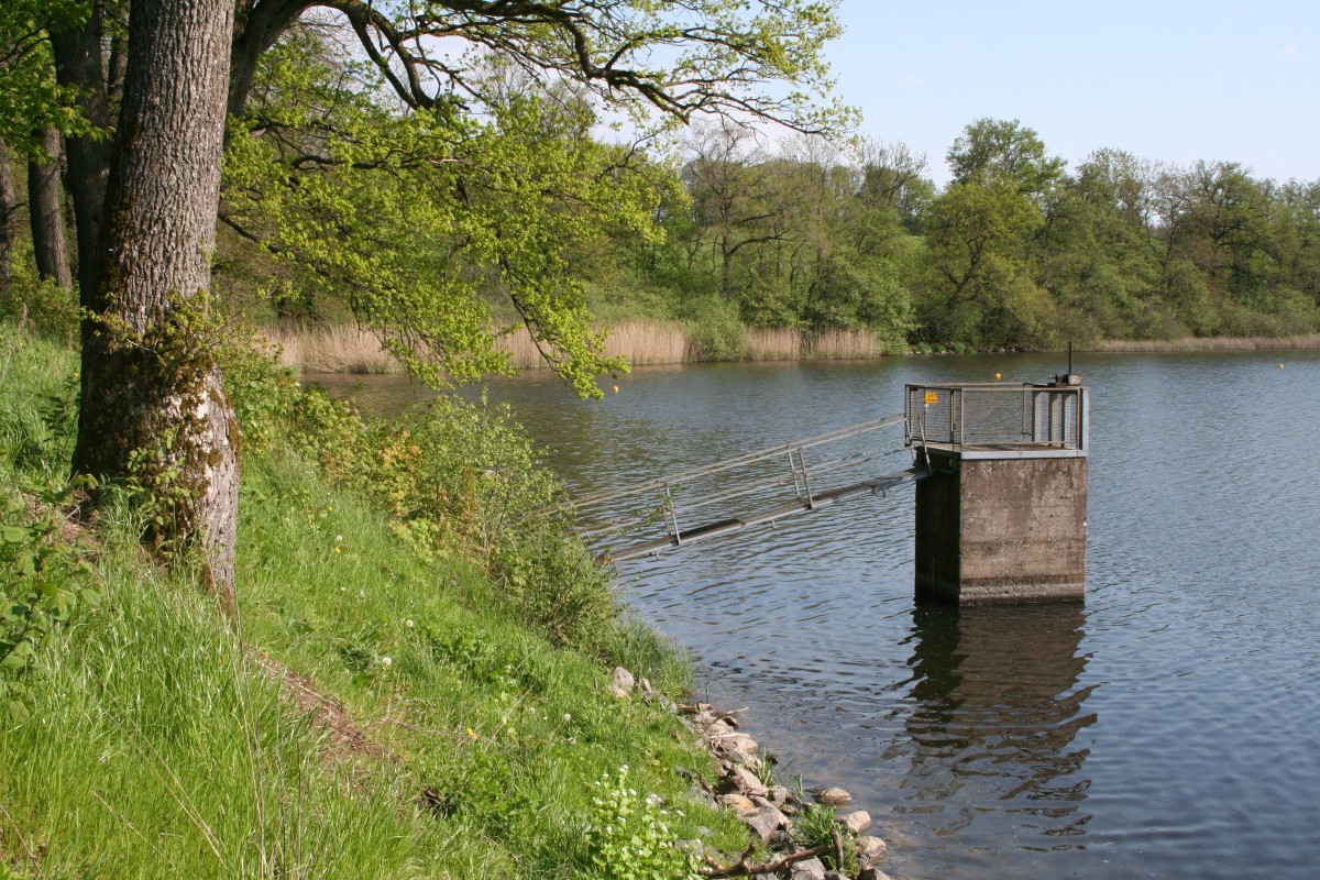 Start des dritten Sanierungsabschnitts am Dreifelder Weiher