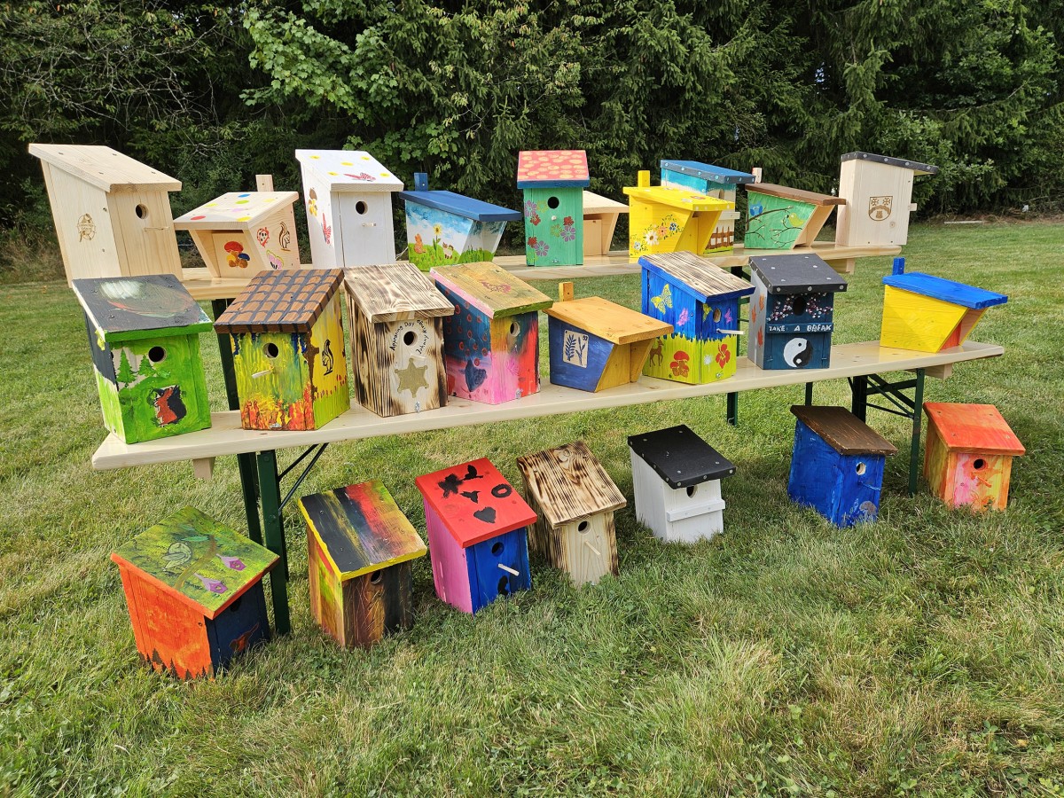 Die bunten Nistk�sten gestaltete die Familiengruppe Kr�mmel in einer Bastelaktion mit Familien aus dem Dorf 2025. Materialien hierf�r konnten mit Unterst�tzung der "Ehrenamtlichen B�rgerprojekte" angeschafft werden. (Foto: Kerstin Hoffmann)