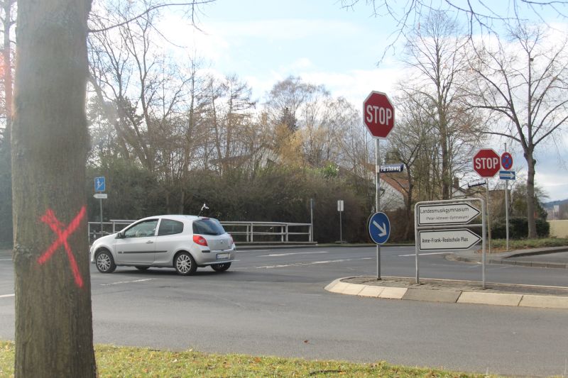 Rund um die Kreuzung Frstenweg / Albertstrae werden einige Bume gefllt, weil hier ab Mai ein Kreisel gebaut wird. Foto: VG Montabaur